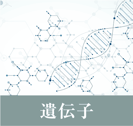 遺伝子